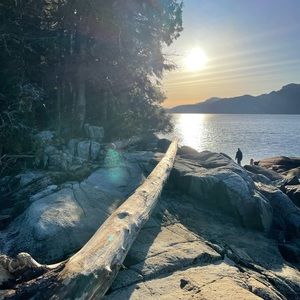 Meet your Posher, Maddie